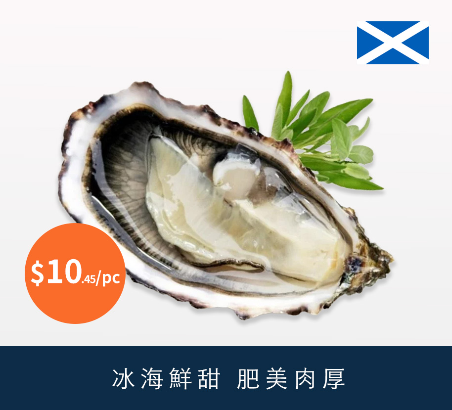 #4 蘇格蘭活石蠔 12pcs