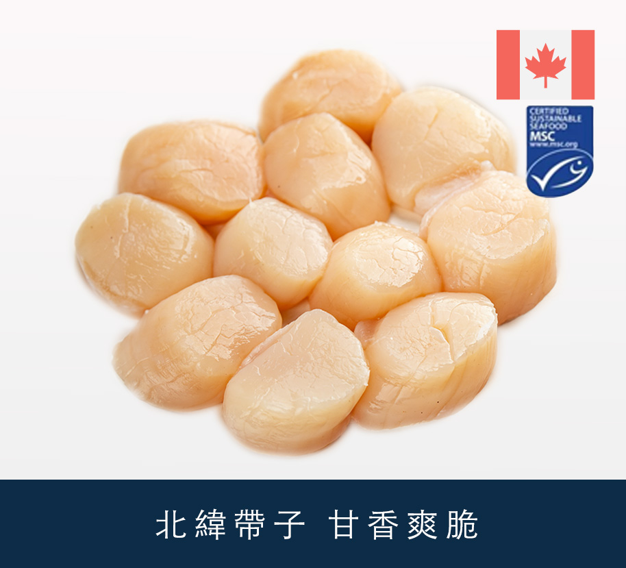 加拿大急凍生帶子肉 1kg